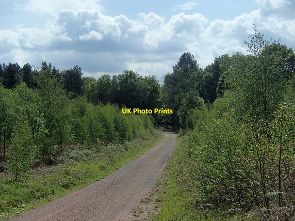 Photo 6"x4" Track by Hanger Hill Meden Vale c2014
