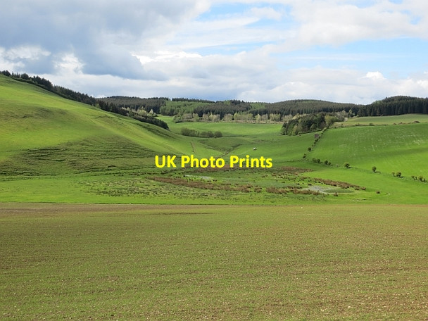 Photo 6"x4" Fields, Ashkirk Ashkirk c2014