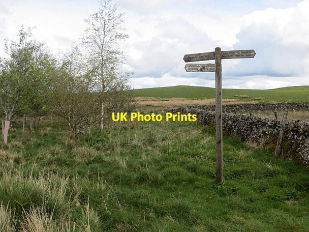 Photo 6"x4" Path sign, Ashkirk Hill Salenside c2014