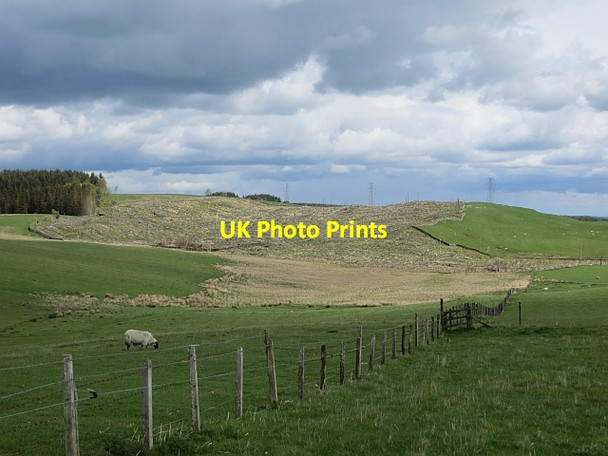 Photo 6"x4" Groundistone Covert Salenside c2014