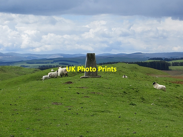 Photo 6"x4" Drinkstone Hill Newton\/NT5017 c2014