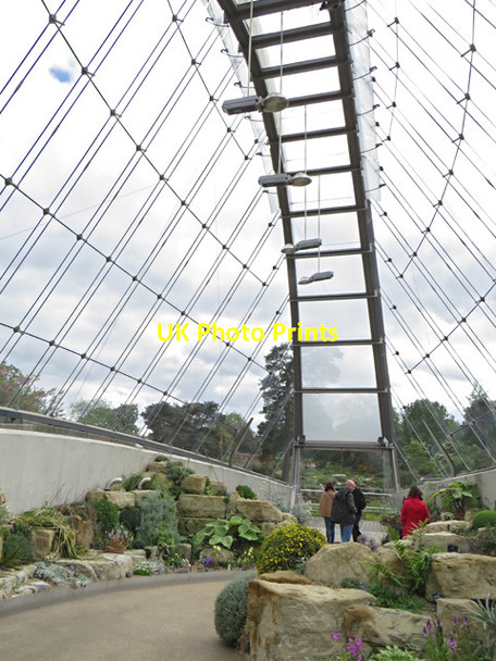 Photo 6"x4" Kew alpine house - interior Brentford c2014