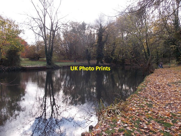 Photo 6"x4" Fishing pond, Matson, Gloucester Matson c2013