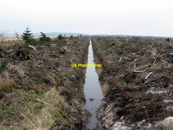 Photo 6"x4" Ditch in felled area of Haggyshaw Plantation Stonehaugh c2014
