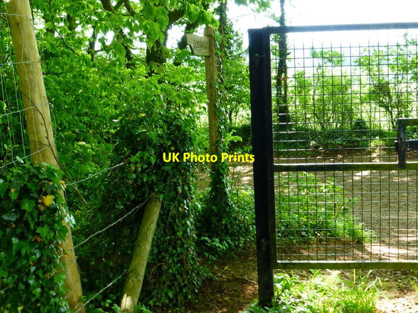 Photo 6"x4" Footpath by Old Park Wood reaches byway Bramdean c2014
