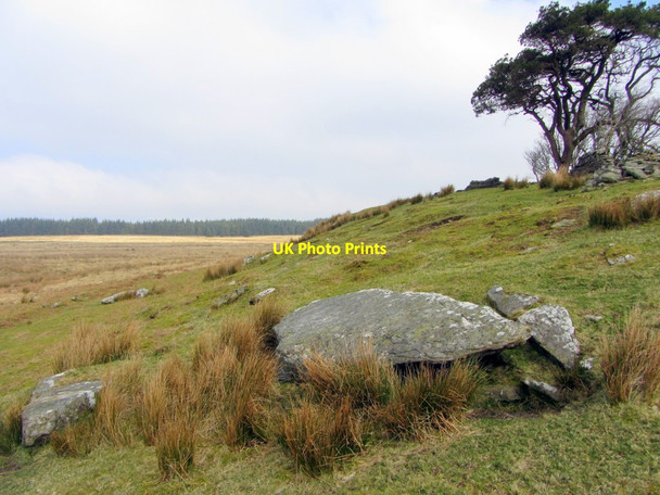 Photo 6"x4" Below the sheepfold, Haughton Common Stonehaugh c2014