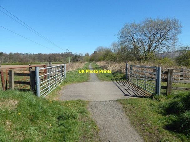 Photo 6"x4" Farm track crossing cycle route Croftamie c2014