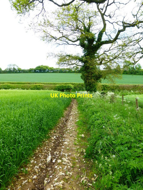 Photo 6"x4" Looking down footpath to Tithelands Lane Bramdean c2014