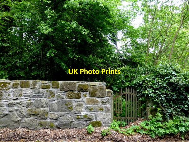 Photo 6"x4" Stone wall and gate, Creevenagh, Omagh Omagh c2014