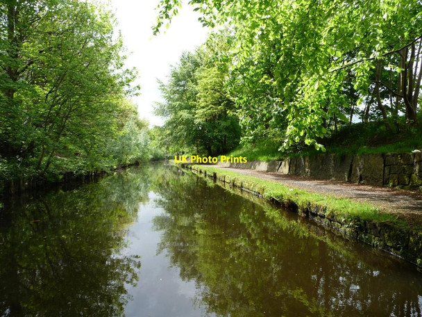 Photo 6"x4" What a difference some trees make, in Rochdale Rochdale c2014