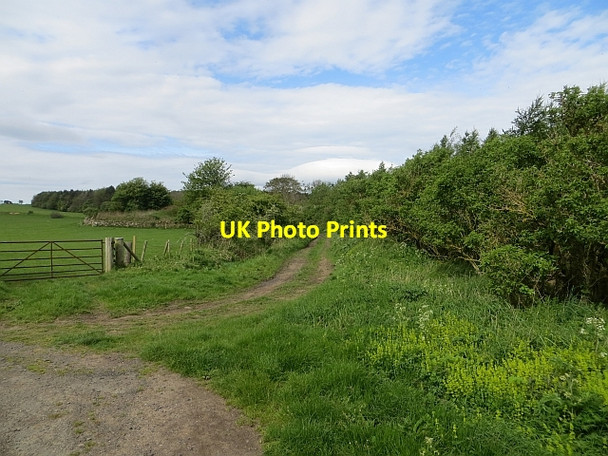 Photo 6"x4" Farm track, Warenton Belford\/NU1033 c2014