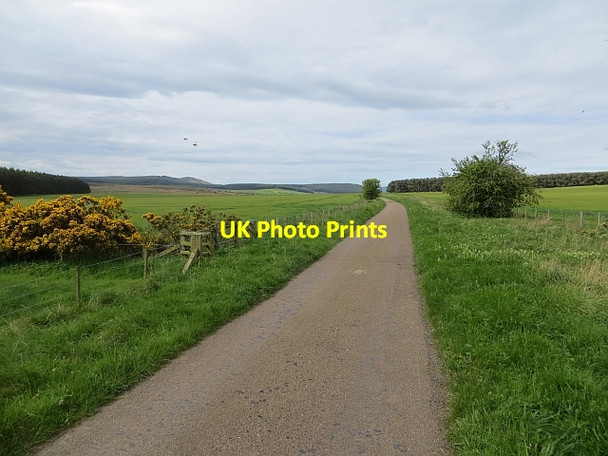 Photo 6"x4" Minor road, Warenton Greendykes\/NU0628 c2014