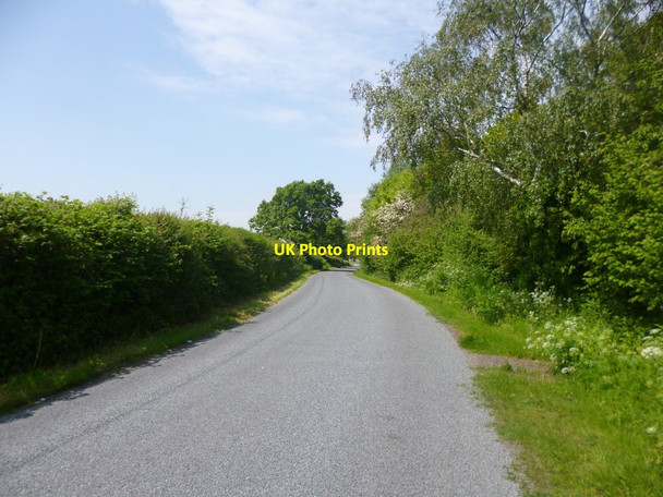 Photo 6"x4" Aldingbourne, Hook Lane Aldingbourne c2014