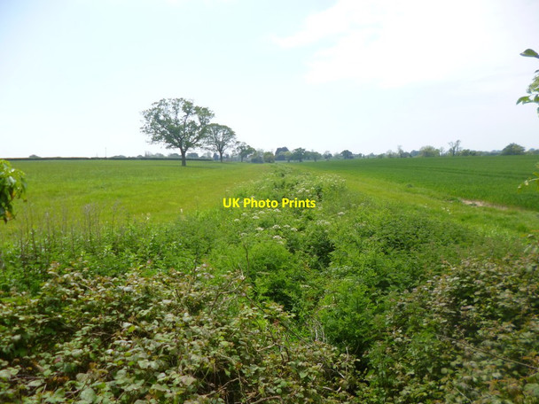 Photo 6"x4" Aldingbourne, ditch Aldingbourne c2014