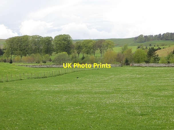Photo 6"x4" Thief Road Headshaw\/NT4622 c2014