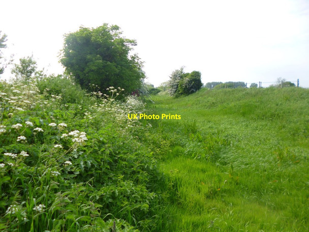 Photo 6"x4" Barnham, course of navigation Saxby\/SU9603 c2014