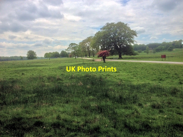 Photo 6"x4" Tatton Park, Knutsford Drive Knutsford c2014