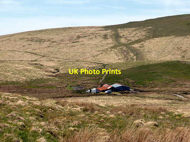Photo 6"x4" Shearing at Hyddgen Farm Hyddgen c2014