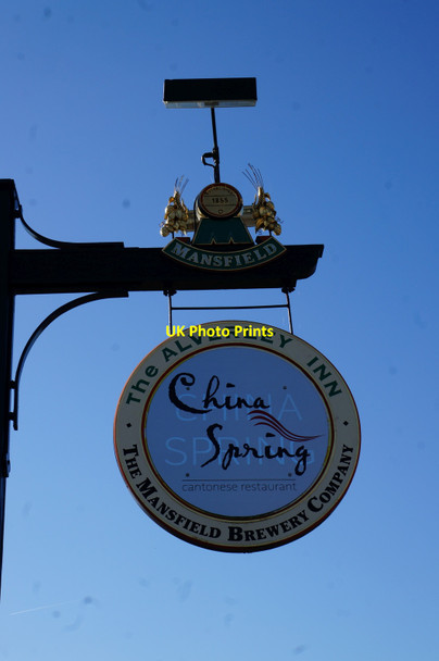 Photo 6"x4" China Spring on Springwell Lane, Doncaster Loversall c2014