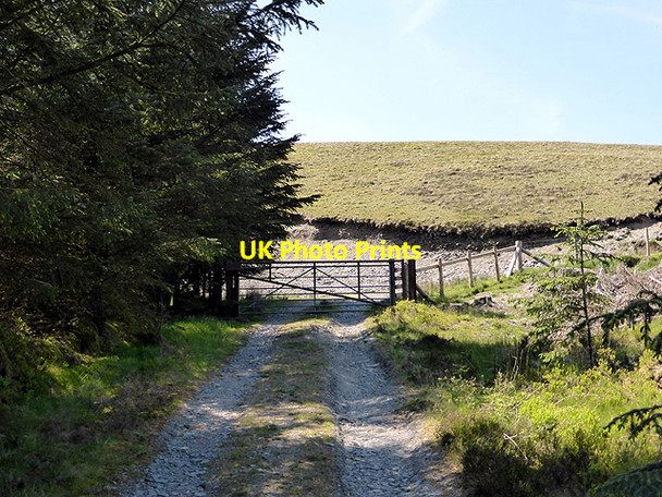 Photo 6"x4" End of forestry road at Foel Cerrigbrithion Foel fras c2014