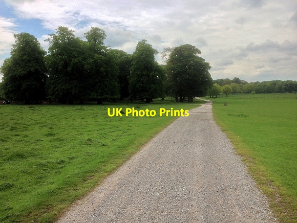 Photo 6"x4" Path North of Tatton Old Hall Tatton Dale c2014
