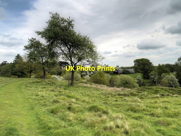 Photo 6"x4" The Northern End of Tatton Park Tatton Dale c2014