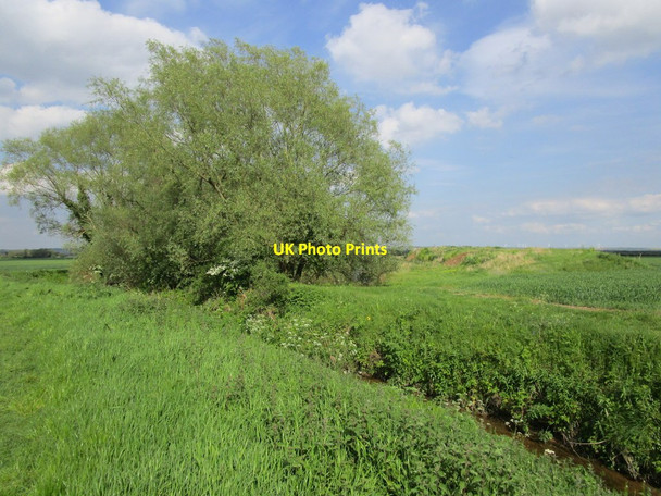 Photo 6"x4" By the River Foulness Harswell c2014