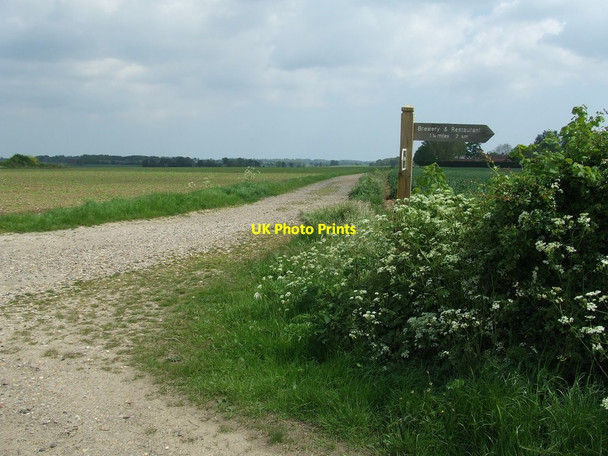 Photo 6"x4" Footpath Sign And Angles Way Flixton\/TM3186 c2014