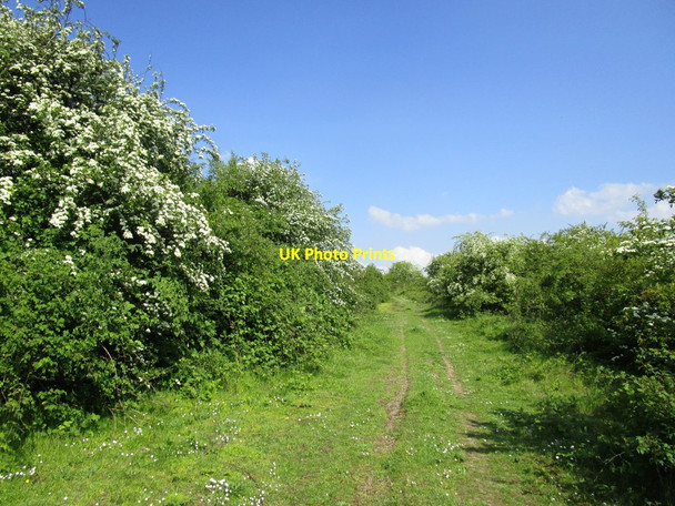 Photo 6"x4" Track on Risby Warren High Risby c2014