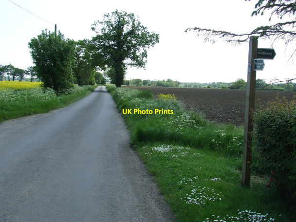 Photo 6"x4" Angles Way Flixton\/TM3186 c2014