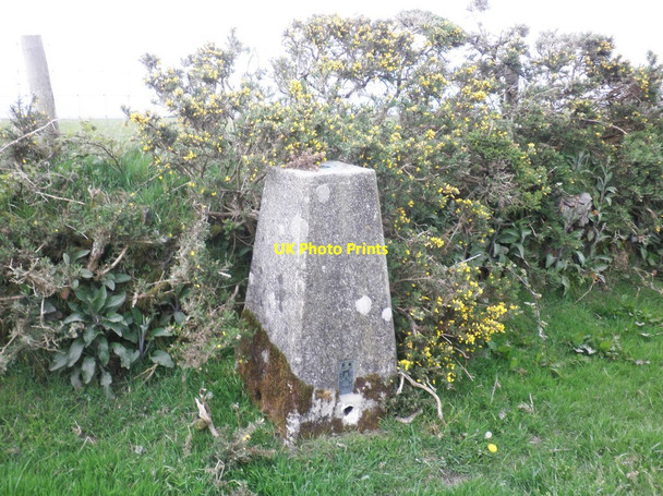 Photo 6"x4" Trig point, south west of Lynton Lynton c2014