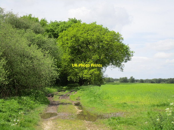 Photo 6"x4" Entering Tank Plantation Allerthorpe c2014