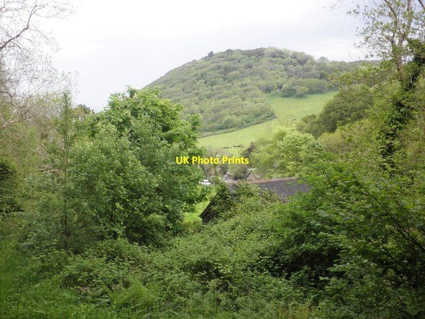 Photo 6"x4" View towards Cuddycleave Wood Lynton c2014