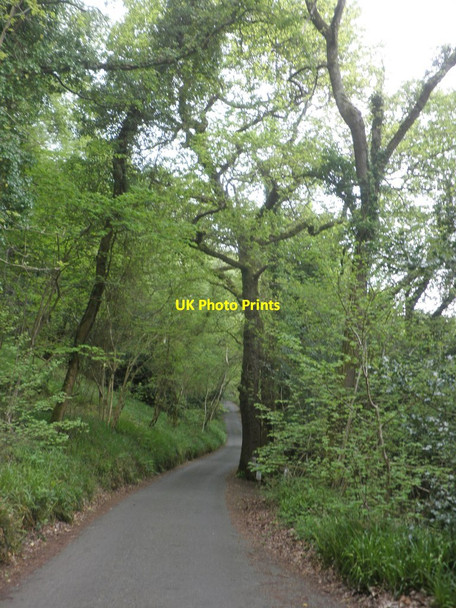 Photo 6"x4" Toll road to Woody Bay Woody Bay\/SS6749 c2014
