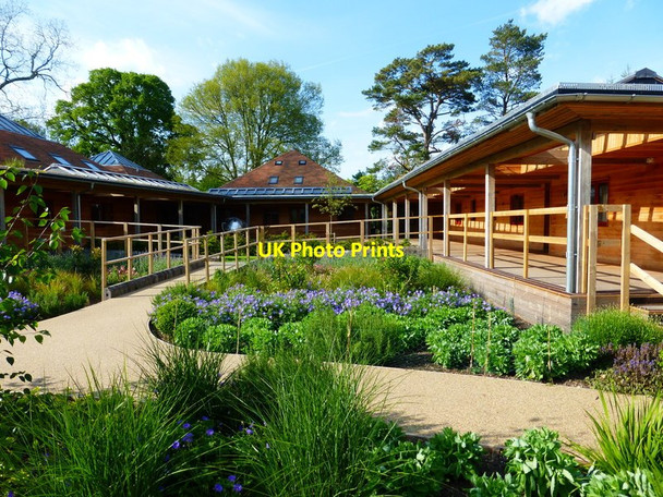 Photo 6"x4" Wooden cloisters at Brockwood School West Meon Woodlands c2014