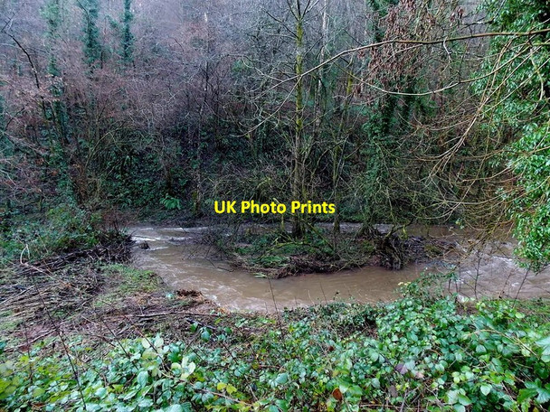 Photo 6"x4" Triangular islet in the Angiddy west of Tintern Chapel Hill\/SO5200 c2014