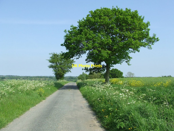 Photo 6"x4" Cuckoo Lane Harleston\/TM2483 c2014