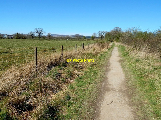 Photo 6"x4" West Highland Way near Gartness Gartness\/NS5086 c2014