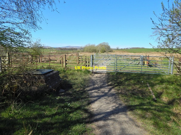 Photo 6"x4" Farm track crossing West Highland Way Gartness\/NS5086 c2014