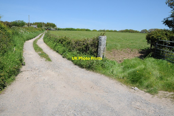 Photo 6"x4" Drive to a cottage near Penrose Farm Bryn\/SS5293 c2014