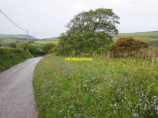 Photo 6"x4" Grass verge, Broadoak Hill Bodley c2014