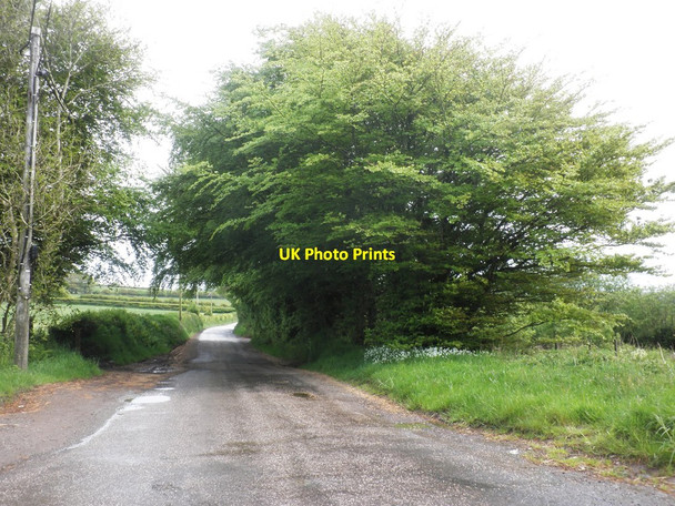 Photo 6"x4" Shelter-belt, on Broadoak Hill Bodley c2014