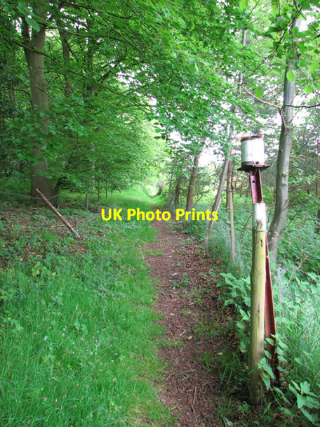 Photo 6"x4" Path to Park Road Flixton\/TM3186 c2014
