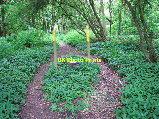 Photo 6"x4" Obsolete stile on the footpath to Park Road Flixton\/TM3186 c2014
