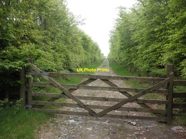 Photo 6"x4" Track to Roe Barrow Churchtown\/SS6744 c2014