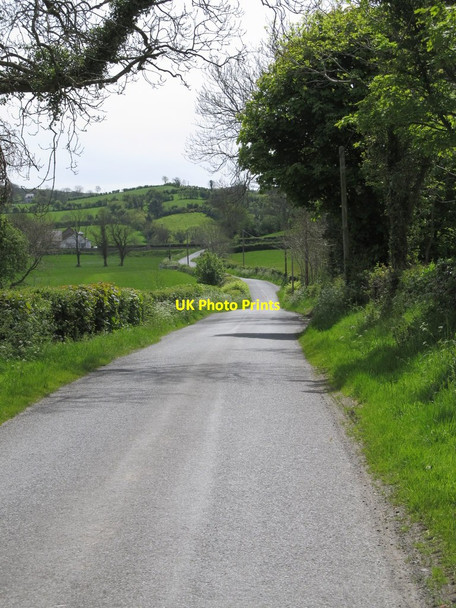 Photo 6"x4" Carrickananny Road about a mile north of the village of Belleek Belleek\/H9827 c2014