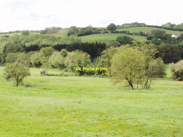 Photo 6"x4" Cullompton: in the Culm valley Cullompton c2014