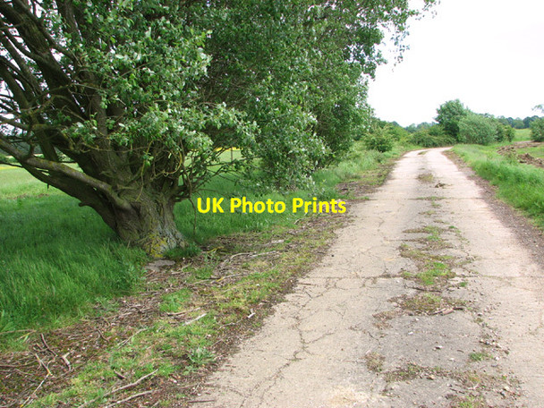 Photo 6"x4" The perimeter track on the old Flixton airfield Bungay c2014