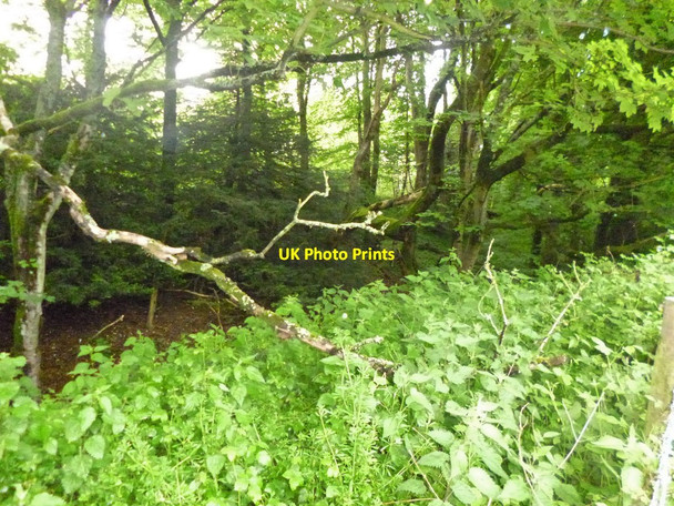 Photo 6"x4" Clearbury Ring Nunton c2014