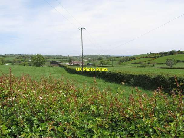 Photo 6"x4" 11kv Powerlines east of the Carrickananny Road Belleek\/H9827 c2014